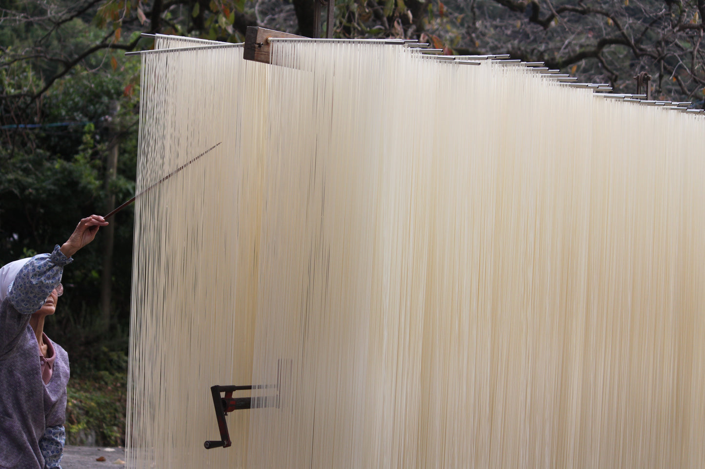 <ギフトセット>手延べうどん